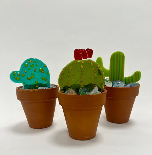 Glass Fusing - Cactus Class